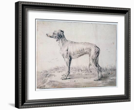 Greyhound, 1644-Cornelis Saftleven-Framed Giclee Print