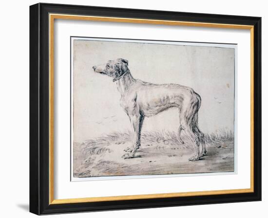 Greyhound, 1644-Cornelis Saftleven-Framed Giclee Print