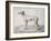 Greyhound, 1644-Cornelis Saftleven-Framed Giclee Print