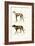 Greyhound, 1824-Karl Joseph Brodtmann-Framed Giclee Print