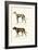 Greyhound, 1824-Karl Joseph Brodtmann-Framed Giclee Print