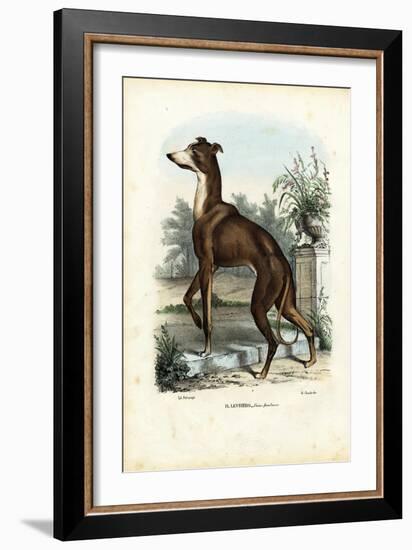 Greyhound, 1863-79-Raimundo Petraroja-Framed Giclee Print