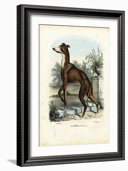 Greyhound, 1863-79-Raimundo Petraroja-Framed Giclee Print