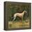 Greyhound Brand - San Dimas, California - Citrus Crate Label-Lantern Press-Framed Stretched Canvas