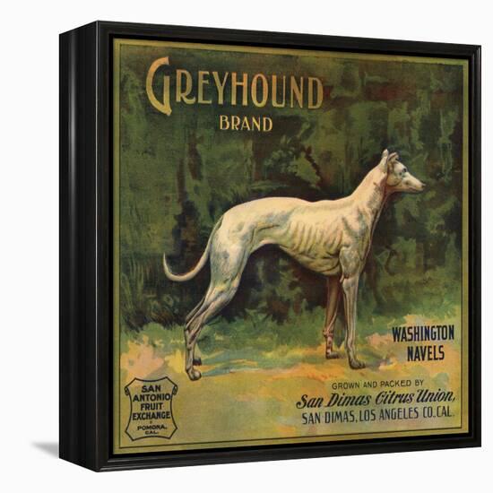 Greyhound Brand - San Dimas, California - Citrus Crate Label-Lantern Press-Framed Stretched Canvas