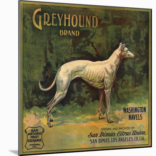 Greyhound Brand - San Dimas, California - Citrus Crate Label-Lantern Press-Mounted Art Print