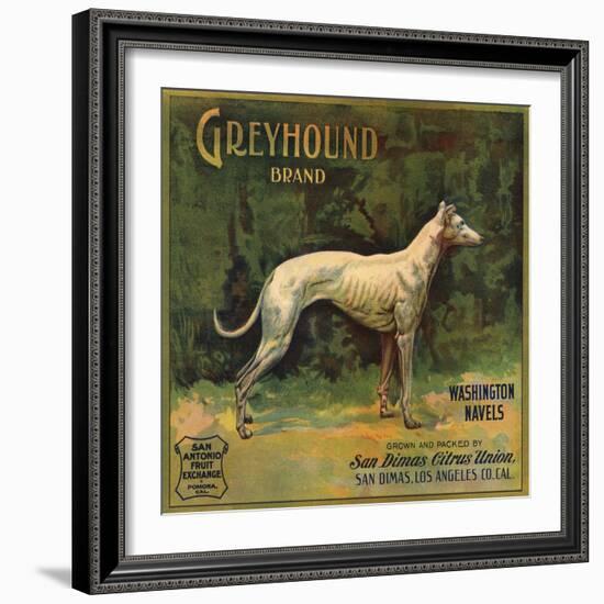 Greyhound Brand - San Dimas, California - Citrus Crate Label-Lantern Press-Framed Art Print