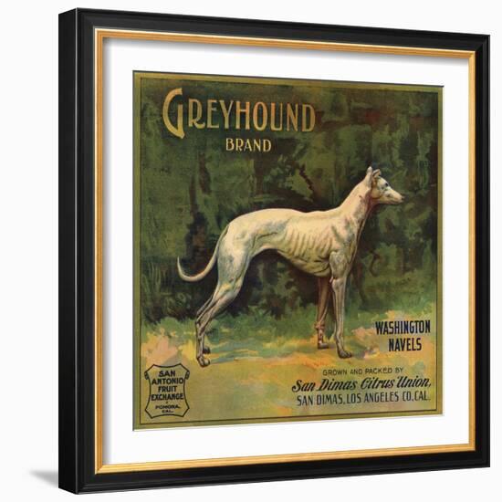 Greyhound Brand - San Dimas, California - Citrus Crate Label-Lantern Press-Framed Art Print