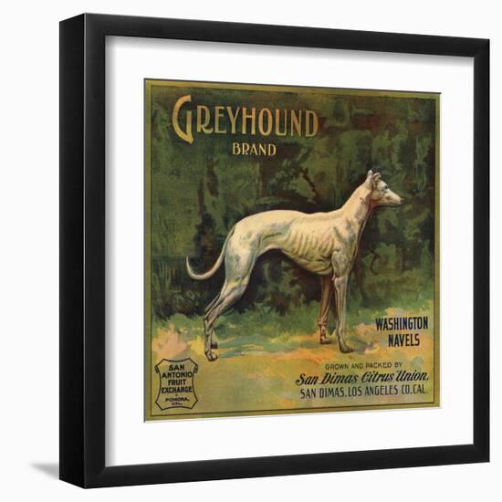 Greyhound Brand - San Dimas, California - Citrus Crate Label-Lantern Press-Framed Art Print