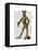 Greyhound Fencer Dark Full-Fab Funky-Framed Stretched Canvas