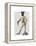 Greyhound Fencer in Cream Full-Fab Funky-Framed Stretched Canvas