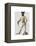 Greyhound Fencer in Cream Full-Fab Funky-Framed Stretched Canvas