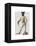 Greyhound Fencer in Cream Full-Fab Funky-Framed Stretched Canvas