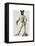 Greyhound Fencer in Cream Full-Fab Funky-Framed Stretched Canvas