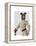 Greyhound Fencer in Cream Portrait-Fab Funky-Framed Stretched Canvas