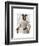 Greyhound Fencer in Cream Portrait-Fab Funky-Framed Art Print