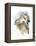 Greyhound Hope, 2016-John Keeling-Framed Premier Image Canvas