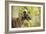 Greyhound in Front of Tree-null-Framed Photographic Print