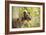 Greyhound in Front of Tree-null-Framed Photographic Print