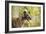 Greyhound in Front of Tree-null-Framed Photographic Print