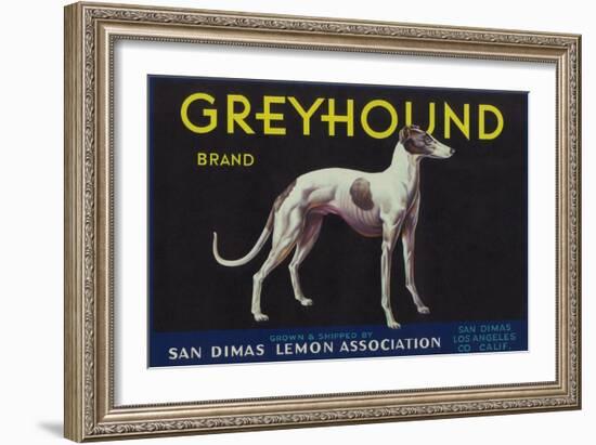 Greyhound Lemon Label - San Dimas, CA-Lantern Press-Framed Art Print