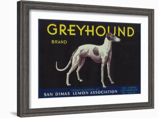 Greyhound Lemon Label - San Dimas, CA-Lantern Press-Framed Art Print