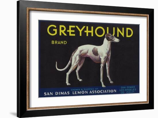 Greyhound Lemon Label - San Dimas, CA-Lantern Press-Framed Art Print