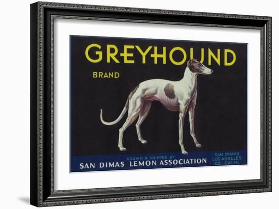 Greyhound Lemon Label - San Dimas, CA-Lantern Press-Framed Art Print