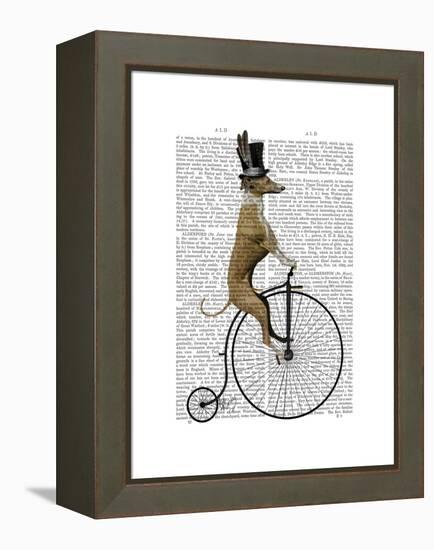 Greyhound on Black Penny Farthing Bike-Fab Funky-Framed Stretched Canvas