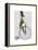 Greyhound on Black Penny Farthing Bike-Fab Funky-Framed Stretched Canvas