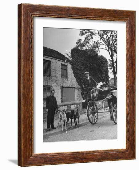 Greyhound Racing Dogs Being Walked-null-Framed Photographic Print