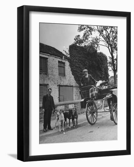 Greyhound Racing Dogs Being Walked-null-Framed Photographic Print