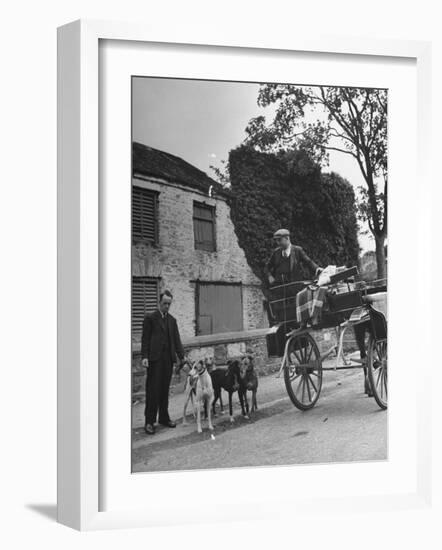 Greyhound Racing Dogs Being Walked-null-Framed Photographic Print
