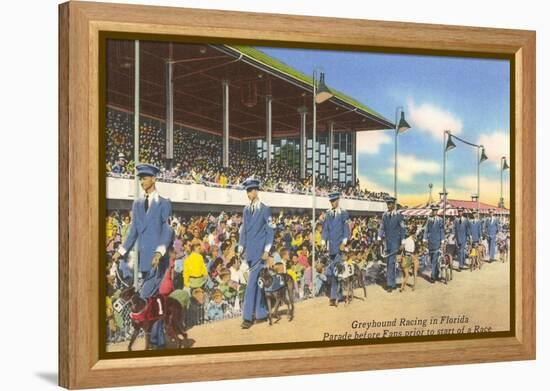 Greyhound Racing, Florida-null-Framed Stretched Canvas