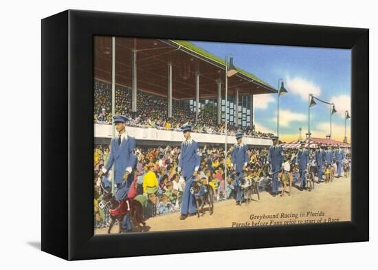 Greyhound Racing, Florida-null-Framed Stretched Canvas