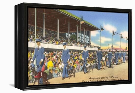 Greyhound Racing, Florida-null-Framed Stretched Canvas