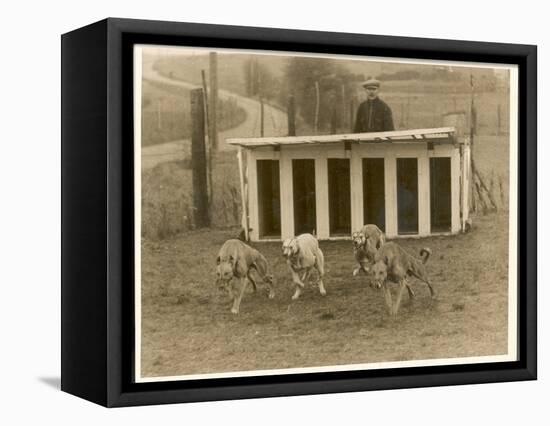 Greyhound Training-null-Framed Premier Image Canvas