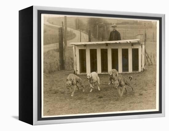 Greyhound Training-null-Framed Premier Image Canvas