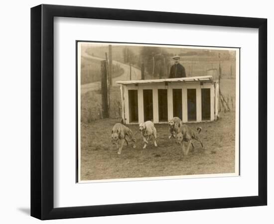 Photographic Print, , large