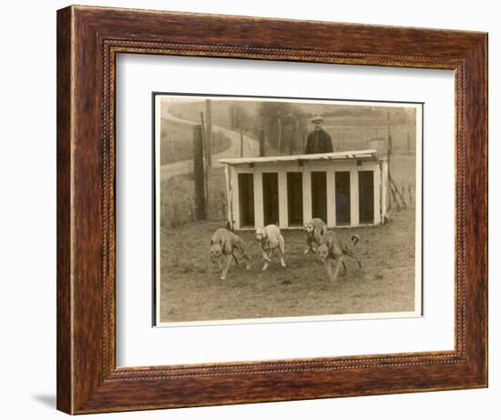 Greyhound Training-null-Framed Photographic Print