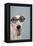 Greyhound Wearing Joke Magnified Glasses-null-Framed Premier Image Canvas