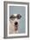 Greyhound Wearing Joke Magnified Glasses-null-Framed Photographic Print