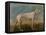 Greyhound-Giovanni Battista Tiepolo-Framed Premier Image Canvas
