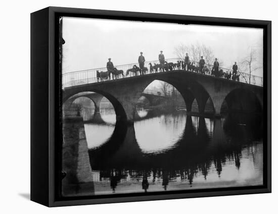 Greyhounds on a Bridge-null-Framed Premier Image Canvas