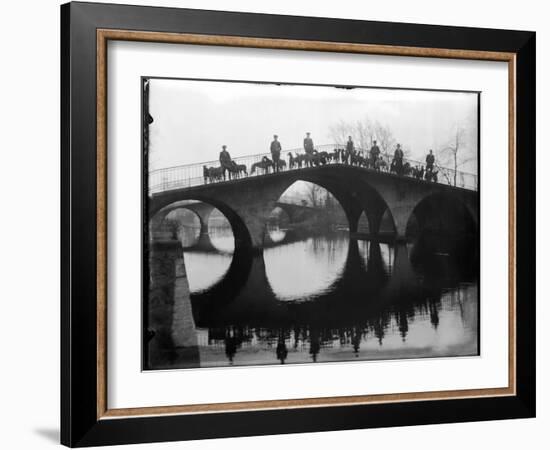 Greyhounds on a Bridge-null-Framed Photographic Print