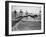 Greyhounds Racing-null-Framed Photographic Print