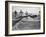 Greyhounds Racing-null-Framed Photographic Print