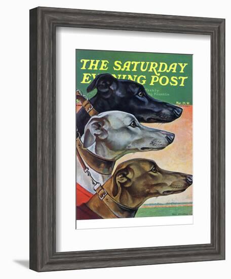 "Greyhounds," Saturday Evening Post Cover, March 29, 1941-Paul Bransom-Framed Giclee Print