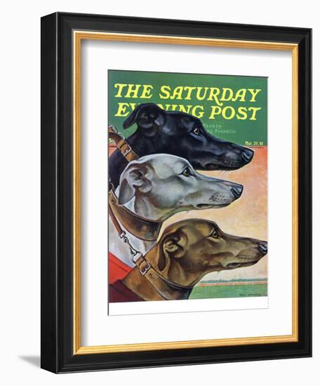 "Greyhounds," Saturday Evening Post Cover, March 29, 1941-Paul Bransom-Framed Giclee Print