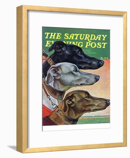 "Greyhounds," Saturday Evening Post Cover, March 29, 1941-Paul Bransom-Framed Giclee Print